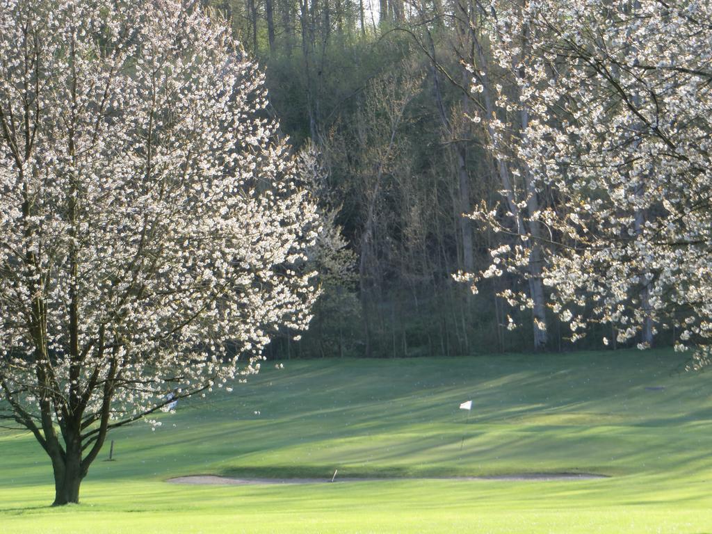 Golf & Hotel De Falnuee Mazy Exterior photo